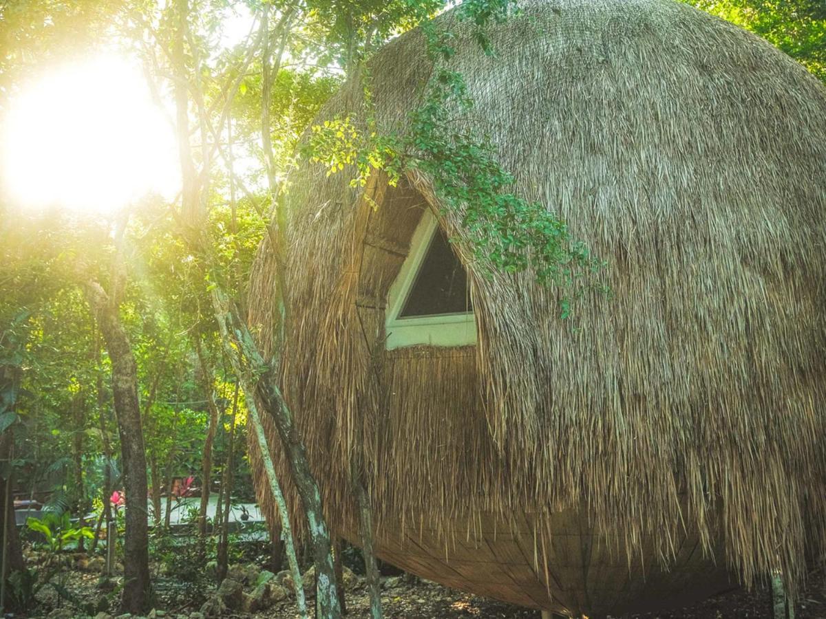 Casa Del Arbol At Villa Duendes Akumal Εξωτερικό φωτογραφία